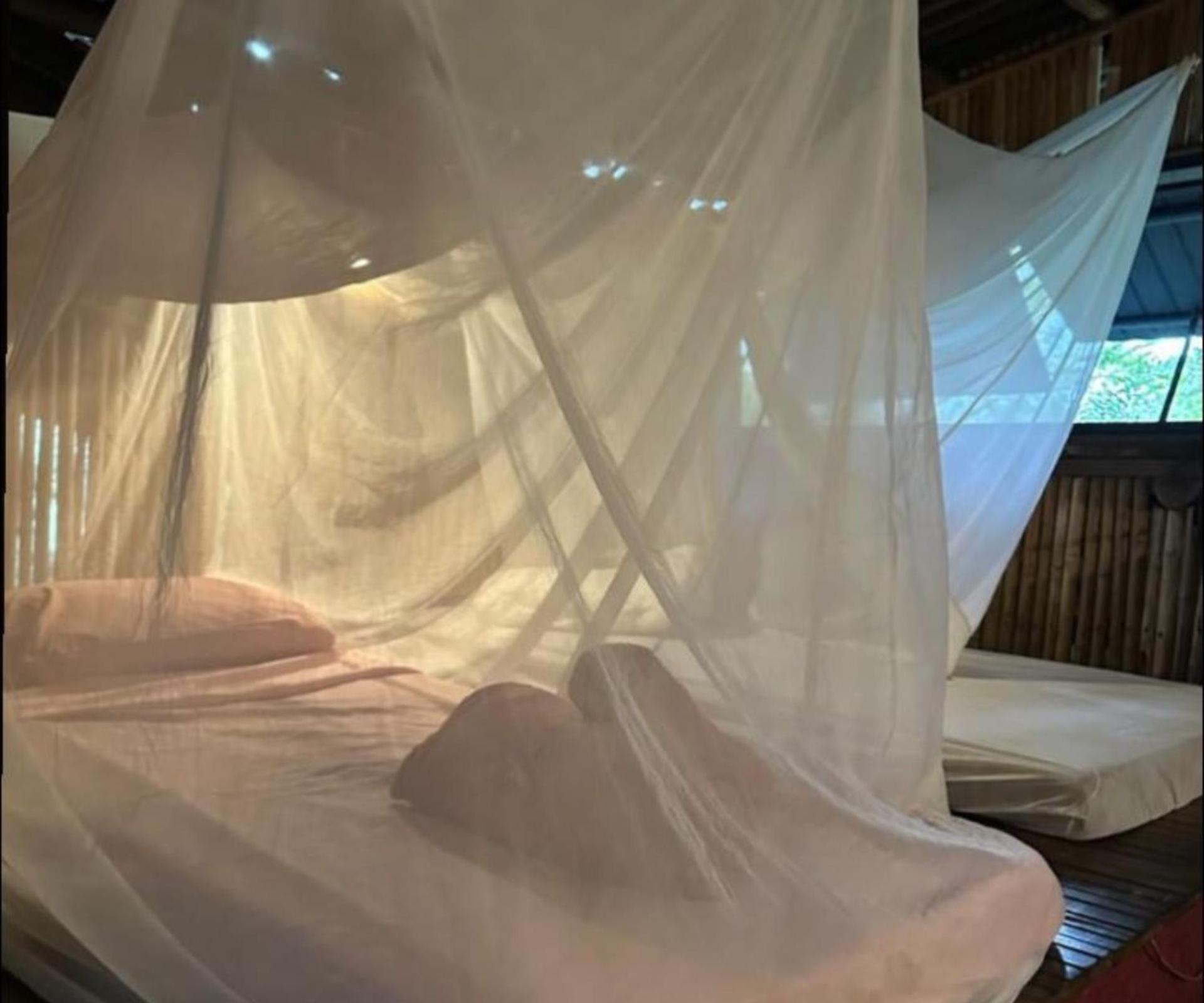 Remo Hostel Paraty Ngoại thất bức ảnh